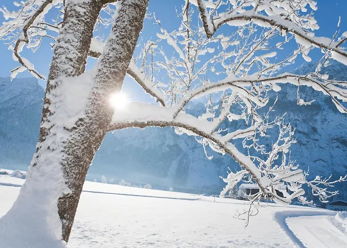 Haus Panoramablick 아파트 압티나우