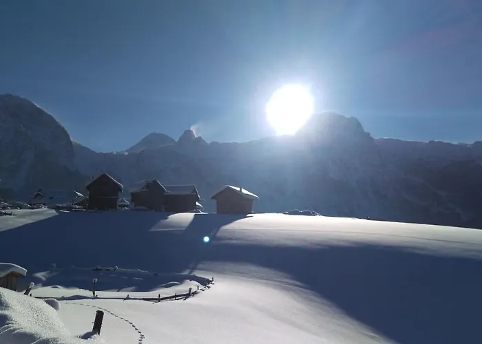 Haus Panoramablick 아파트